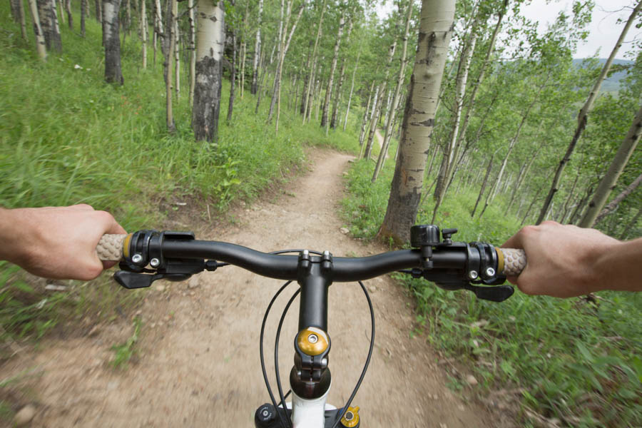 Mountain biking in Brevard, NC top things to do